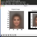파이토치 교재 14장 정리문제 이미지
