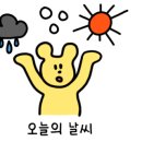 꼼앤헤어.네일.래쉬 이미지
