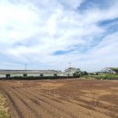 신도리민박 이미지