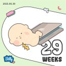 (주)에센파마 | [임신기록] 임신 29주차, 강북삼성 내분비내과 협진, 임당 교육, 만삭촬영, 임산부 히피펌, 임산부...