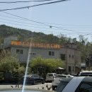 용천통닭 | 임산부의 의정부 맛집 탐방기 둔배미 은행나무집부터 용천 통닭까지 내돈내산 후기
