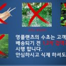 영플랜츠&갤러리영