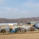 원진농장 이미지