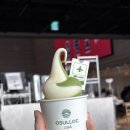 카카듀 [제주] 형돈 / <b>카카듀</b> / 스타벅스 용담DT점 / 홉히 / 골막식당