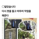 봉림