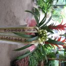 드림할인마트 이미지