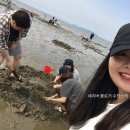 조개캐려고 태안 몽산포 해수욕장 뿌시고 온 여행 후기