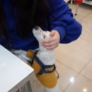 (주)하이템 이미지