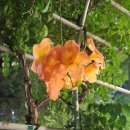 목련8단지(아)경로당 | [24년 8월 일상] 이때는 미남이 제철이였나봐.