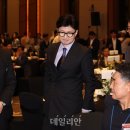 데일리안 이미지