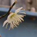 청계천길 이미지