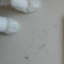 로운 아트디자인