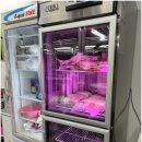 식껍 복대점 | 복대동고깃집 식껍 복대점에서 맛있게 즐긴 삼겹살