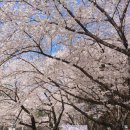 새서울한의원 이미지