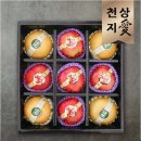 천상지애 이미지