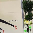 에벤에셀유 | [서울 개업화분] 웰빙마트 신정점 오픈 선물, 센스 있는 사장님의 선택 '콤팩타' 배송 후기🪴