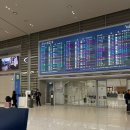 리에종 | 2024 한인검사 교류협력 세미나 리에종 후기 (주관: 대검찰청)
