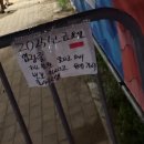사뿐사뿐 | 2024 인천 펜타포트 락페스티벌(2) - 일요일