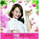 처음맛처럼 티스토리
