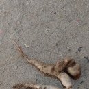 알뜰 농장 이미지