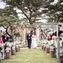 허브캐슬 이미지