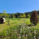 탄현공원 이미지