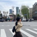 혜현상회 | 이것저것