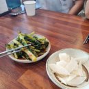 이월목장 | [여름휴가] 괴산 쌍곡계곡 새들펜션 평상후기, 증평 벨포레목장🐑🌳