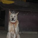 백선농장 이미지