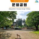 문평공원 이미지