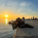 느낌표 민박 | 바르셀로나 바르셀로네타 해변에서 일출보기