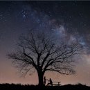 모산경로당 | 화순 밥상 편, 화순군 이서면 화순적벽 메기매운탕, 메기구이 집 이서 가든, 도곡면 모산 마을 닭장 떡국