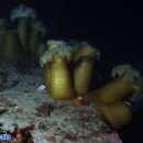 인구 리조트 이미지