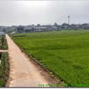 상주낙동우체국 이미지