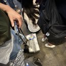 2026 서울국제주류박람회 후기, 꼭 가봐야 할 추천 부스 총정리