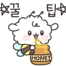 요요아이엠씨 이미지