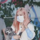 수투