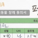 펫토피아(PETOPIA) 이미지