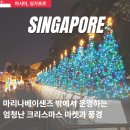 싱가포르 투게더랜드 월드 크리스마스 마켓 마리나베이샌즈 야경