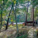 만수산자연휴양림 이미지