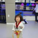 경희대 우리태권도 이미지