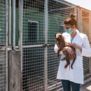 고양시 동물보호센터 이미지