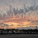 구미대로 이미지