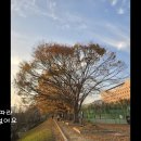 어느 시인의 노래(시 채자경/곡 정부기) 이세희 소프라노 이미지