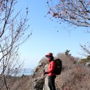 완주체육관 이미지