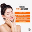 신진BHB 네이버블로그