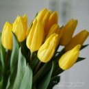 함성(함께 읽고 성장하는) 독서토론 이미지