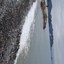 미륵목장 이미지