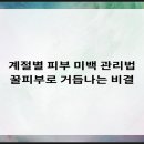 비티성형외과의원 이미지