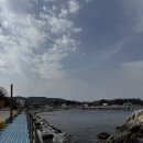 대진항식당 이미지